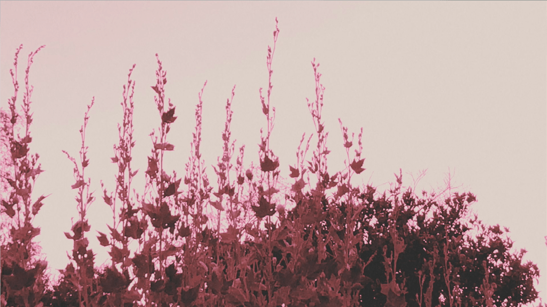 touche amore lament touche amore lament